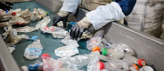 Sorting and Classification